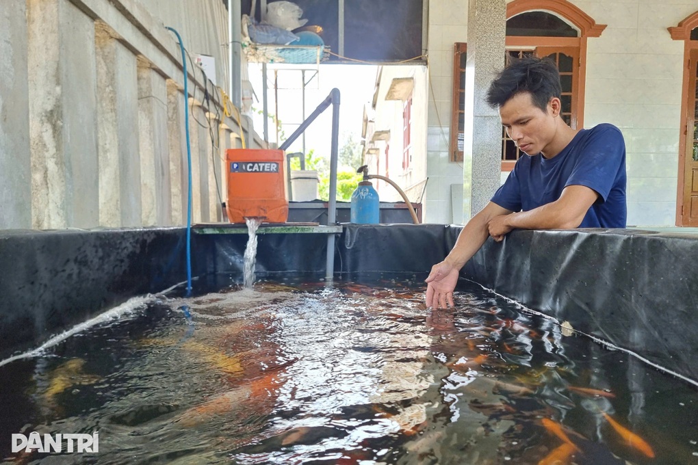 Nuôi cá sang chảnh giữa cát trắng, chàng trai khiến nhiều người bất ngờ - 1 Nuôi cá sang chảnh giữa cát trắng, chàng trai khiến nhiều người bất ngờ - 1