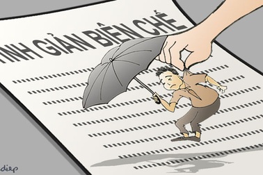 Có nơi 80% chứ không phải 30% “cắp ô”, thưa Thủ tướng!