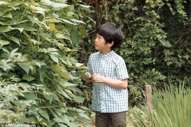 Hoàng tử "nhí" Nhật Bản hào hứng thăm đồng lúa