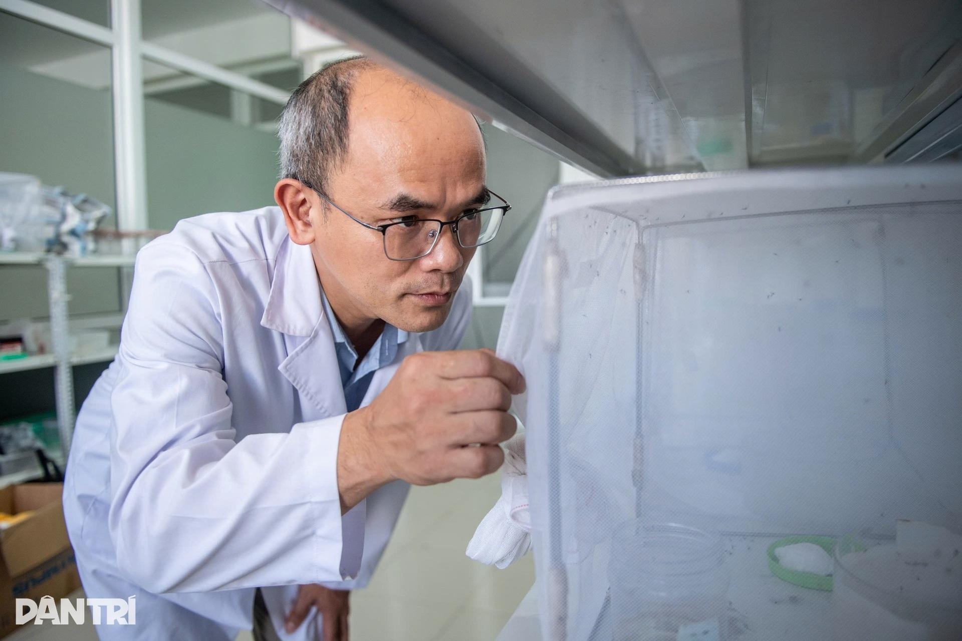 ហាណូយ៖ ចូលដល់កន្លែងចិញ្ចឹមមូសរាប់ពាន់ក្បាល ដើម្បីរកអាវុធការពារជំងឺគ្រុនឈាម - 2 Hà Nội: Vào nơi nuôi hàng nghìn con muỗi tìm vũ khí chặn sốt xuất huyết - 2