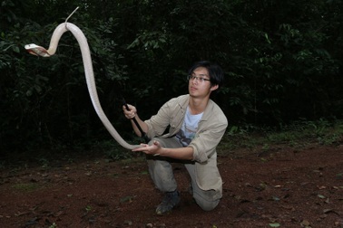 Trào lưu nuôi thú cưng là loài hoang dã, có độc: Đam mê thôi chưa đủ