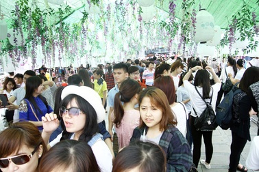 Lễ hội "hoa tử đằng... giả": Bạn trẻ Hà Nội từ háo hức đến thất vọng