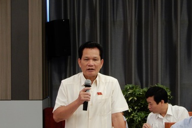 Dự án sân bay Long Thành: Thu hồi đất một lần là không khả thi?