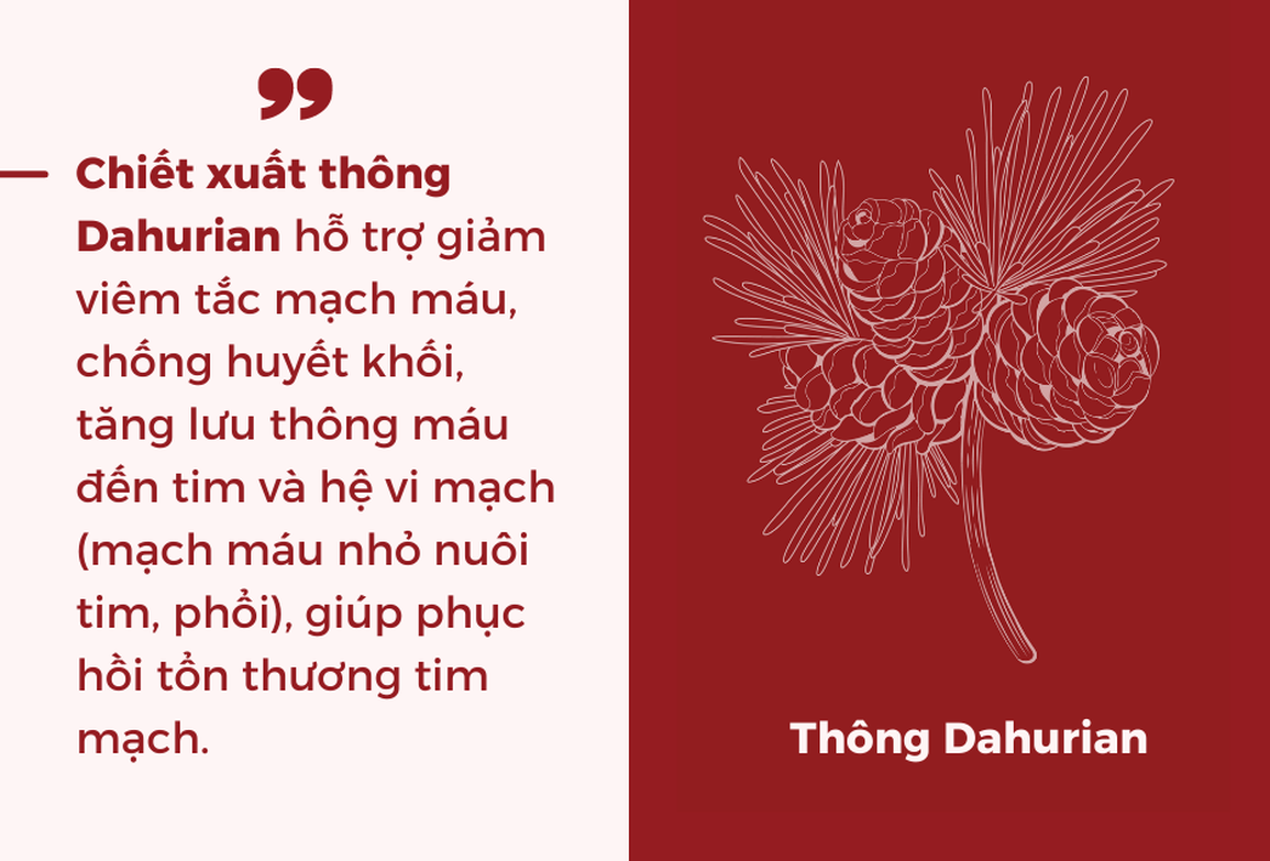 Biến chứng tim mạch hậu Covid-19 nguy hiểm và khó lường: Giải pháp là gì? - 2 Biến chứng tim mạch hậu Covid-19 nguy hiểm và khó lường: Giải pháp là gì? - 2