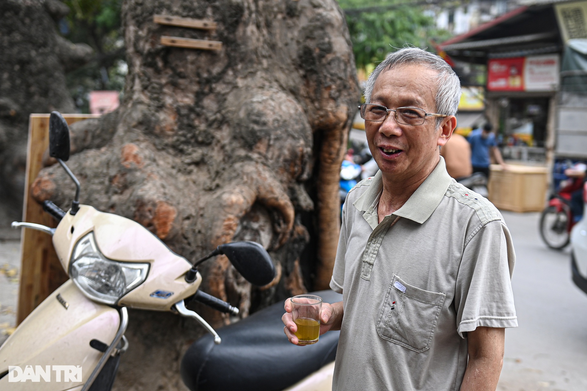Sắp chặt hạ, dịch chuyển hàng cây cổ thụ trên đường đắt nhất hành tinh - 14 Sắp chặt hạ, dịch chuyển hàng cây cổ thụ trên đường đắt nhất hành tinh - 14