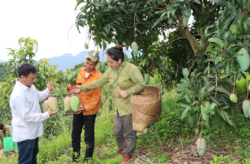 Đề xuất hợp nhất 2 chương trình nông thôn mới và giảm nghèo bền vững - 1 Đề xuất hợp nhất 2 chương trình nông thôn mới và giảm nghèo bền vững - 1