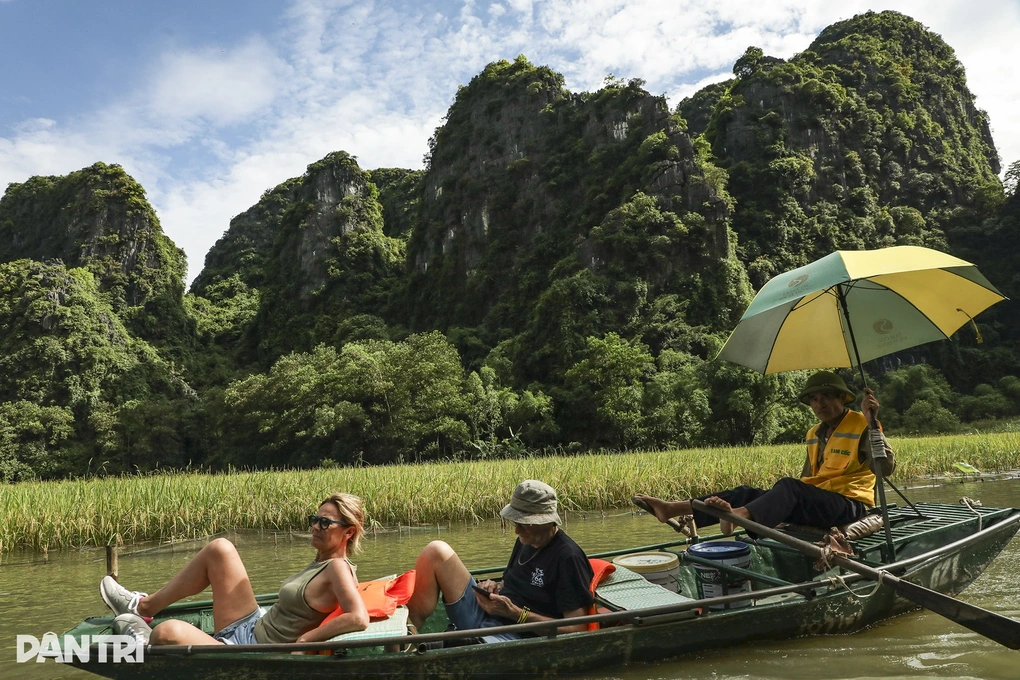 Khách Tây mê làm nông dân ở Việt Nam: Sáng cấy lúa, chiều chăn trâu - 4 Khách Tây mê làm nông dân ở Việt Nam: Sáng cấy lúa, chiều chăn trâu - 4