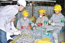 Đà Nẵng: Gần 1.100 chỗ làm cho lao động EPS