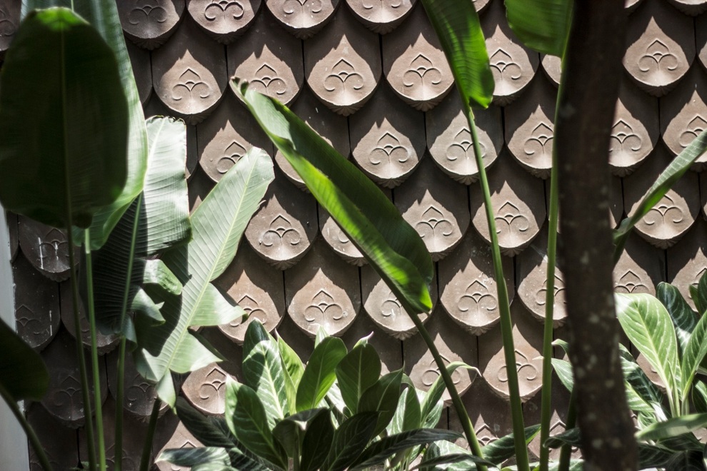 Chàng trai xây tặng mẹ ngôi nhà chan hòa nắng gió, gần gũi với thiên nhiên - 5 Chàng trai xây tặng mẹ ngôi nhà chan hòa nắng gió, gần gũi với thiên nhiên - 5