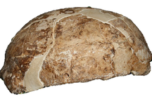 Phát hiện bất ngờ khi Trung Quốc nghiên cứu hài cốt 14.000 năm tuổi