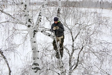 Chàng trai trèo cây cao 8m tìm bắt sóng di động để học trực tuyến
