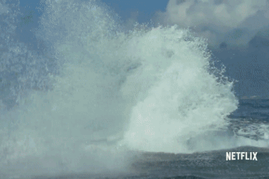 Bị cá voi quẫy đuôi đập trúng người, cô gái bị thương nặng ở ngực