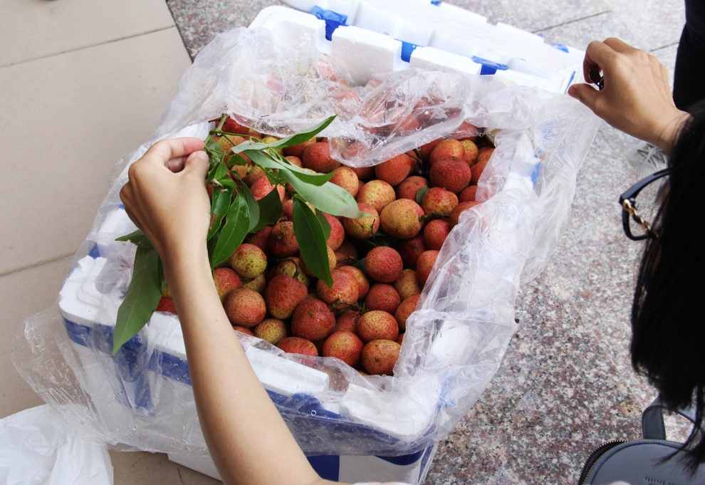 Học sinh lớp 7 phụ giúp mẹ bán vải thiều, chia sẻ với nhà nông Bắc Giang - 5