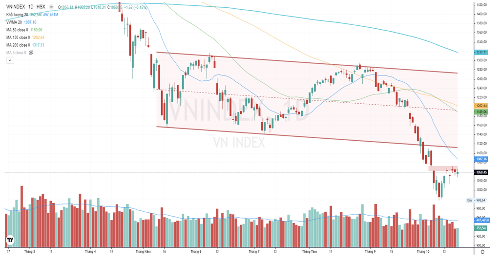VN-Index sẽ còn rung lắc? - 1