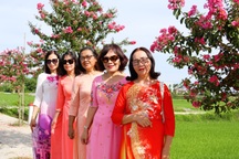 Du khách háo hức check-in cùng đường hoa tường vi hồng rực rỡ ở Đà Nẵng