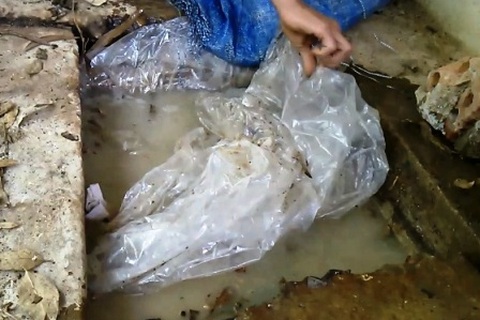 Lời khẩn cầu “lạ” của ông giám đốc công ty chôn thuốc trừ sâu