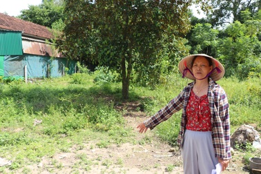 Choáng váng nhận thông báo nộp thuế 4,5 tỷ đồng chuyển đổi 300m2 đất