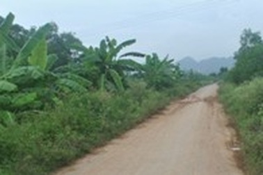 Bị phát hiện, “cẩu tặc” đánh trưởng Công an xã bất tỉnh