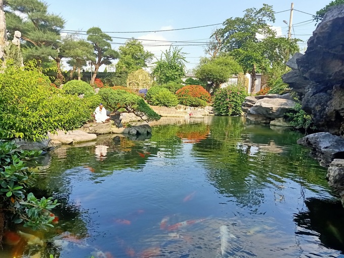 Biệt thự vườn 2.000 m2, có hồ cá Koi của đại gia Nam Định được rao bán với giá không tưởng - Ảnh 3. Biệt thự vườn 2.000 m2, có hồ cá Koi của đại gia Nam Định được rao bán với giá không tưởng - Ảnh 3.