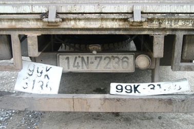 Xe... nhiều biển số vận chuyển gà lậu liên tỉnh