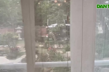 Ngắm biệt thự vườn rộng 100m2 với hồ cá Koi đẳng cấp của vợ chồng U70 ở Hưng Yên