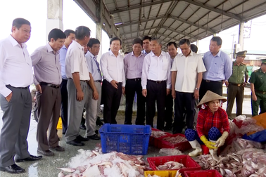 Phải ngăn chặn bằng được tình trạng tàu cá vi phạm vùng biển nước ngoài