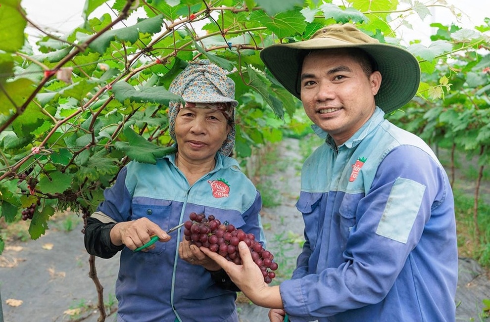 Hà Nội tập trung xây dựng nông thôn mới với nông nghiệp công nghệ cao - 1