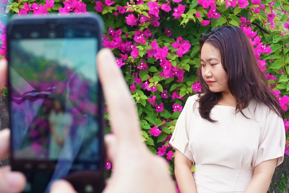 Phát sốt với con đường hoa giấy đẹp như tranh vẽ tại Đà Nẵng - 6