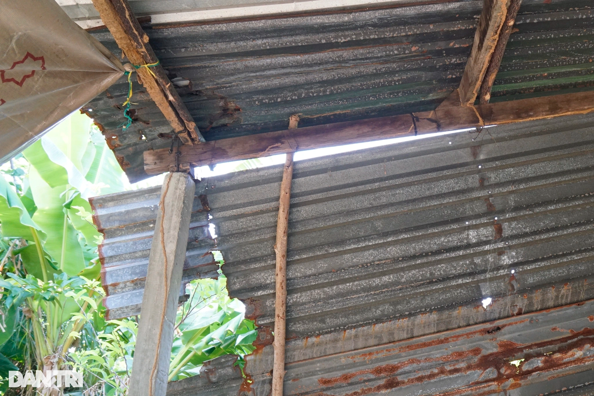 Bình Định thu hồi dự án khu vui chơi gần 800 tỷ đồng giam lỏng người dân - 5 Bình Định thu hồi dự án khu vui chơi gần 800 tỷ đồng giam lỏng người dân - 5