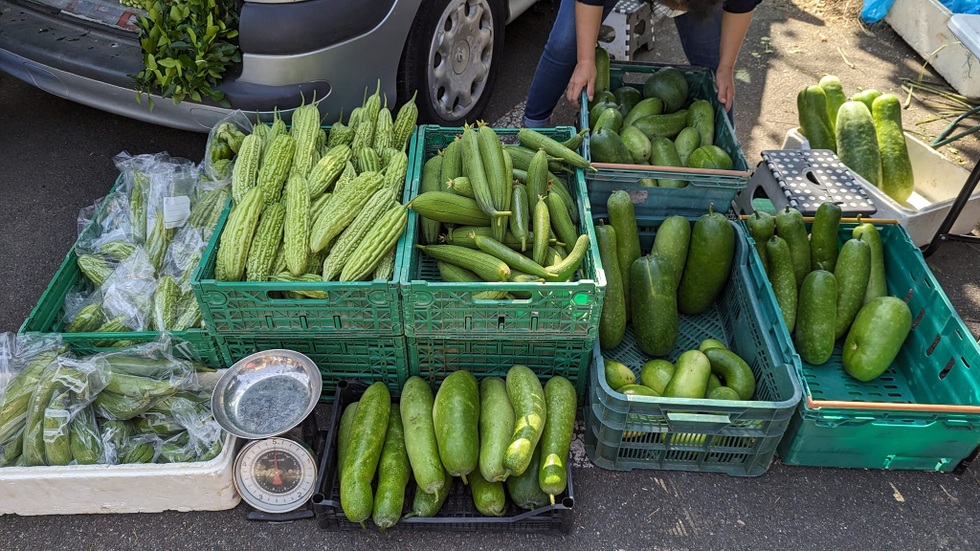 Châu Âu đắt đỏ, mẹ Việt trổ tài nấu cơm chưa đến 200.000 đồng cho 3 người - 4 Châu Âu đắt đỏ, mẹ Việt trổ tài nấu cơm chưa đến 200.000 đồng cho 3 người - 4