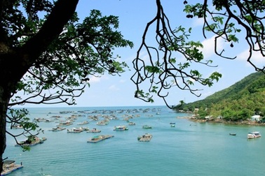 Vẻ đẹp quyến rũ của đảo Hòn Nghệ