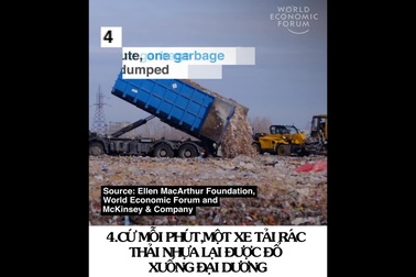 5 thống kê “sốc” khiến bạn nhận ra mình cần bảo vệ đại dương ngay lập tức!