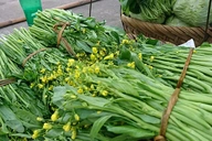 Loại rau trong nhóm tốt nhất thế giới trồng bạt ngàn ở Việt Nam