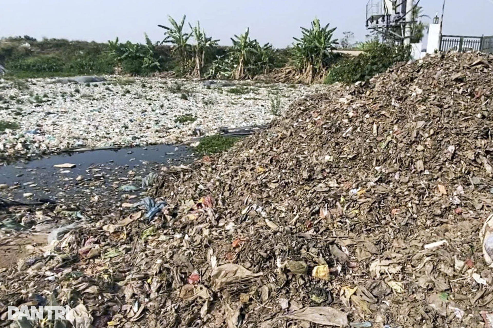 Kỳ 1: Bãi rác lộ thiên đe dọa vùng nuôi rươi ở Hải Phòng - 11 Kỳ 1: Bãi rác lộ thiên đe dọa vùng nuôi rươi ở Hải Phòng - 11
