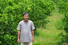 Con liệt sĩ có nguy cơ mất đất vì giấy mua bán và di chúc bất hợp pháp?