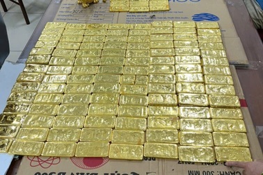 890 miếng vàng SJC, 246kg vàng nguyên khối bị thu giữ trong vụ Mr Pips