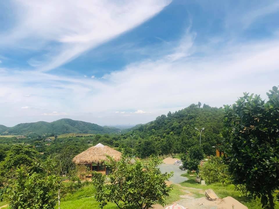 NSƯT Việt Hoàn tậu 10.000m2 đất làm nông trại, làm của hồi môn cho con gái - 2 NSƯT Việt Hoàn tậu 10.000m2 đất làm nông trại, làm của hồi môn cho con gái - 2