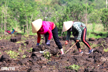 Đề nghị tạo quỹ đất sản xuất cho đồng bào dân tộc thiểu số