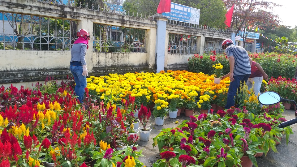 Hoa Tết ế ẩm, tiểu thương than trời - 6 Hoa Tết ế ẩm, tiểu thương than trời - 6