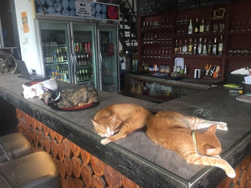 Cô gái Việt bỏ việc, dành 8 tháng chu du 7 nước… chỉ với 16 triệu đồng - 3 Cô gái Việt bỏ việc, dành 8 tháng chu du 7 nước… chỉ với 16 triệu đồng - 3