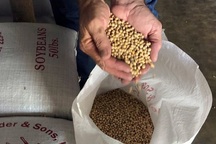 Trung Quốc tính “tung đòn” kế tiếp với Mỹ trong cuộc chiến thương mại