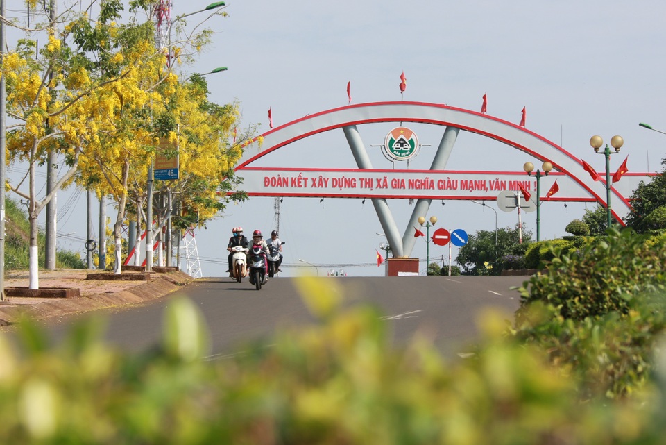 Thành phố trẻ nhất Tây Nguyên rực rỡ sắc vàng của hoa osaka - 2 Thành phố trẻ nhất Tây Nguyên rực rỡ sắc vàng của hoa osaka - 2