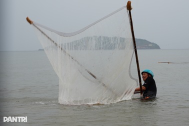 Kiếm nửa triệu đồng mỗi buổi nhờ nghề tranh thủ khi biển động