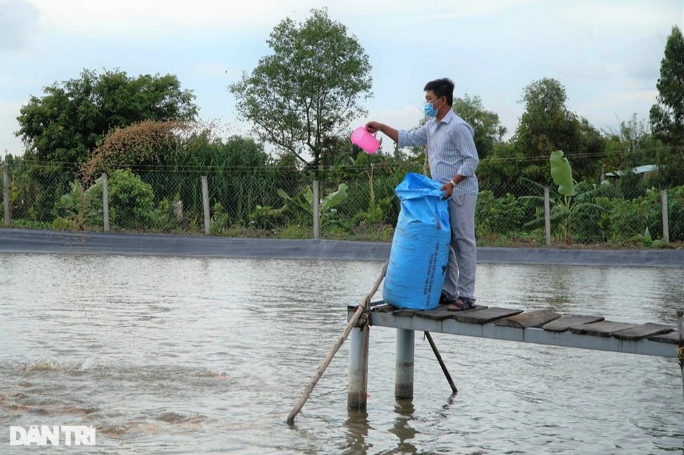 Mạnh dạn nuôi thủy quái, chàng trai miền Tây thu tiền tỷ - 5 Mạnh dạn nuôi thủy quái, chàng trai miền Tây thu tiền tỷ - 5