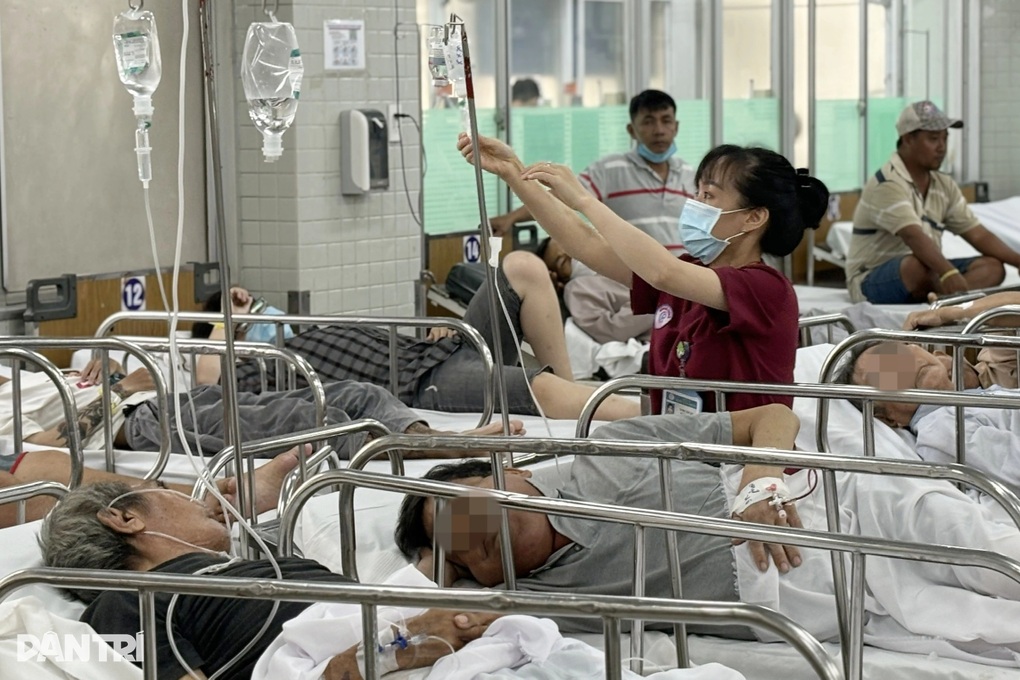 Sok vészhelyzet a mérges állatok támadásai miatt az ünnepek alatt - 1 Nhiều ca cấp cứu do động vật có nọc độc tấn công trong kỳ nghỉ lễ - 1
