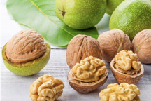 Ăn hạt óc chó có giúp trẻ thông minh?