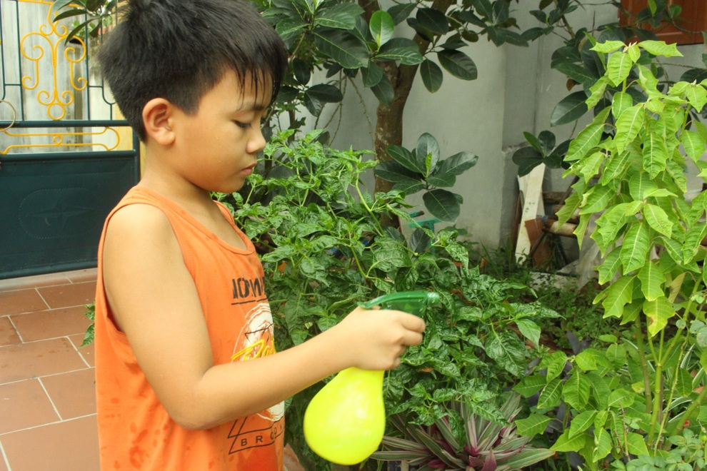 Ở nhà tránh dịch quá lâu, con tôi như biến thành người khác - 3 Ở nhà tránh dịch quá lâu, con tôi như biến thành người khác - 3