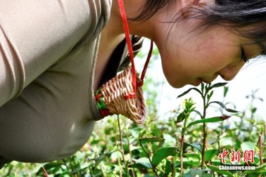 Những thứ lạ đời nhất chỉ Trung Quốc mới có