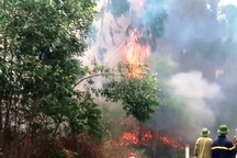 Truy tặng Huân chương Dũng cảm cho người phụ nữ xả thân cứu rừng