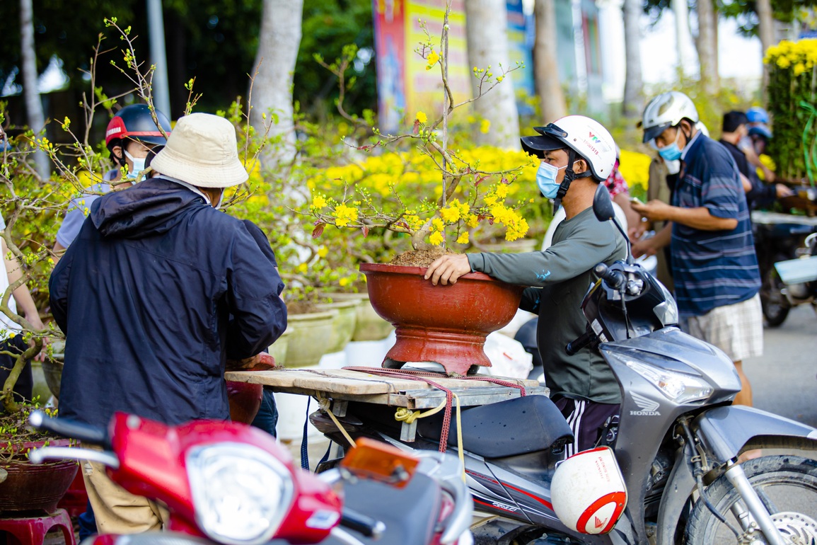 Ninh Thuận: Người dân dạo chợ ngắm hoa là chính, ít người mua - 4 Ninh Thuận: Người dân dạo chợ ngắm hoa là chính, ít người mua - 4